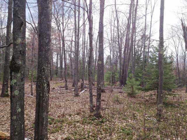 On Flowage Road Rhinelander, WI 54501 - Photo 1 of 13 Gallery Image 1