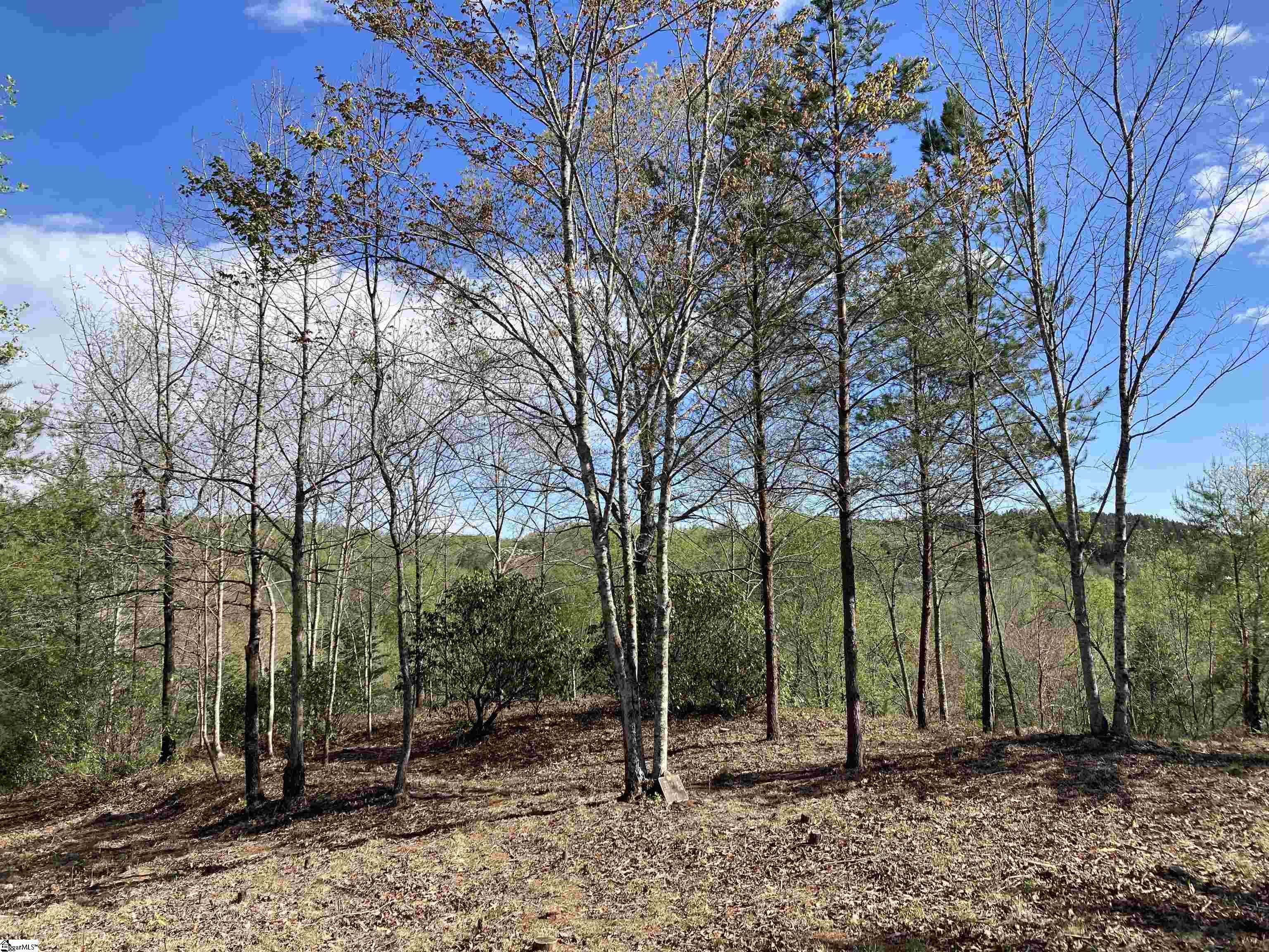 775 Blue Bonnet Trail Marietta, SC 29661 - Photo 2 of 5