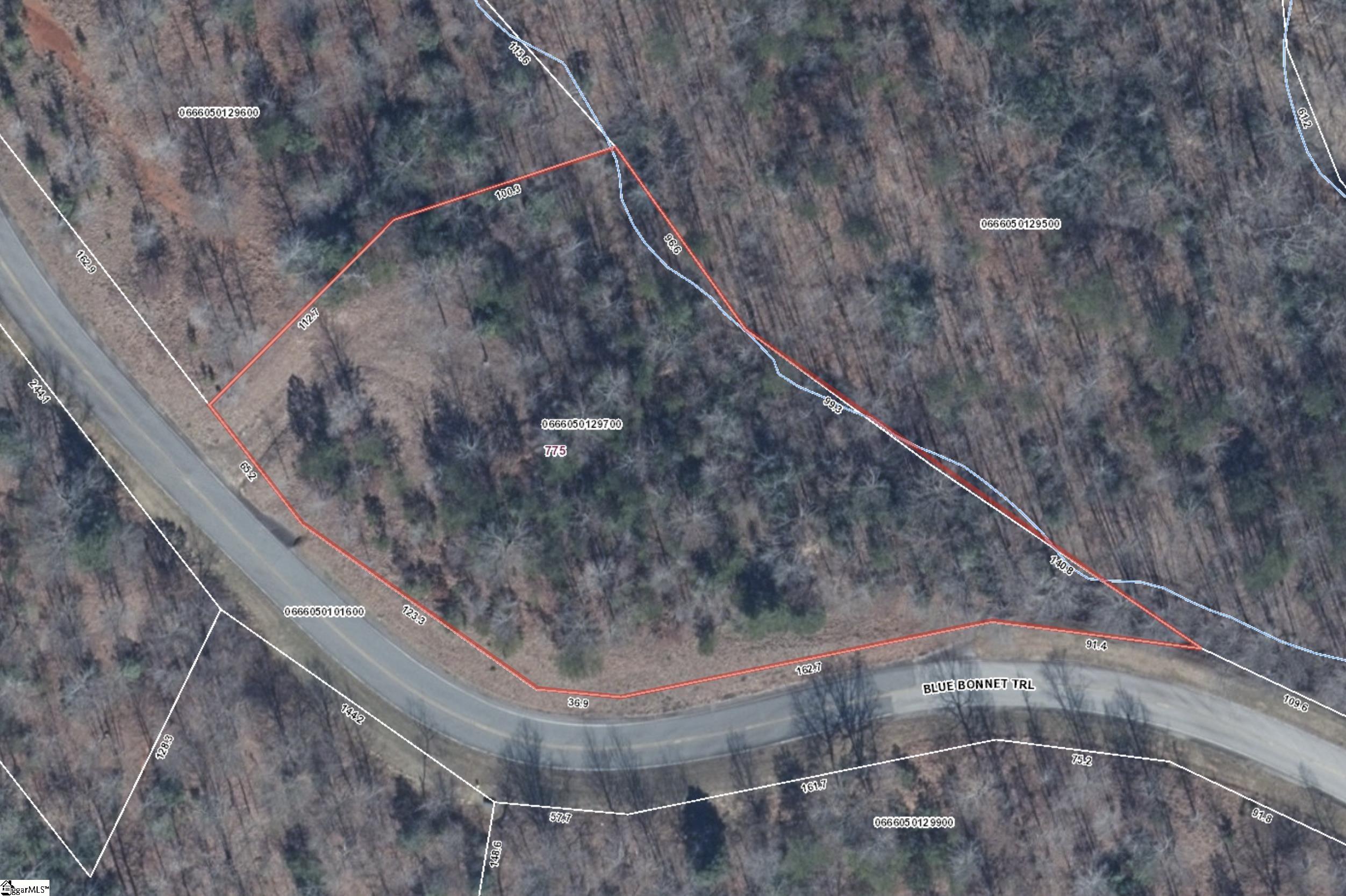 775 Blue Bonnet Trail Marietta, SC 29661 - Photo 4 of 9