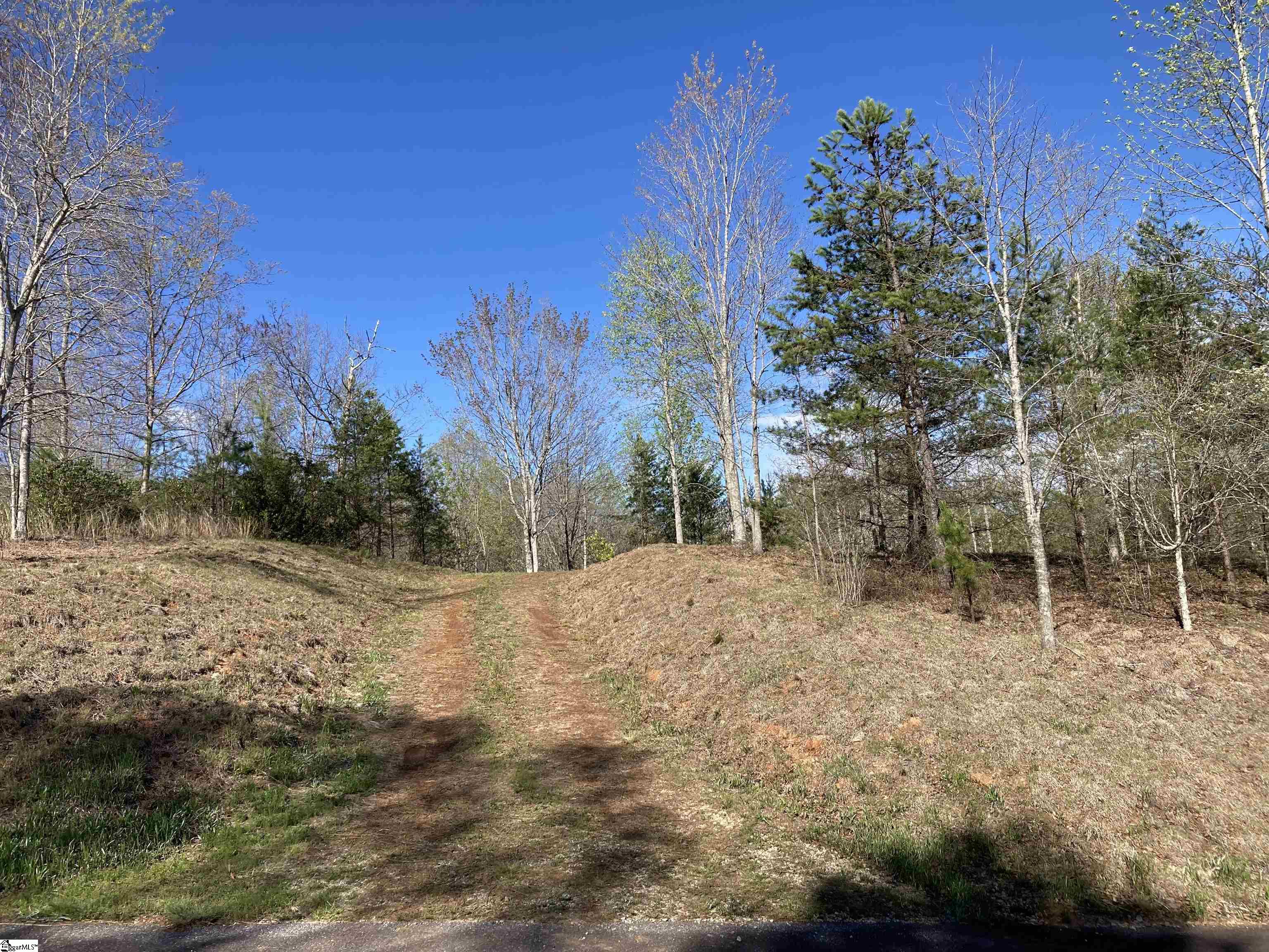 775 Blue Bonnet Trail Marietta, SC 29661 - Photo 9 of 9