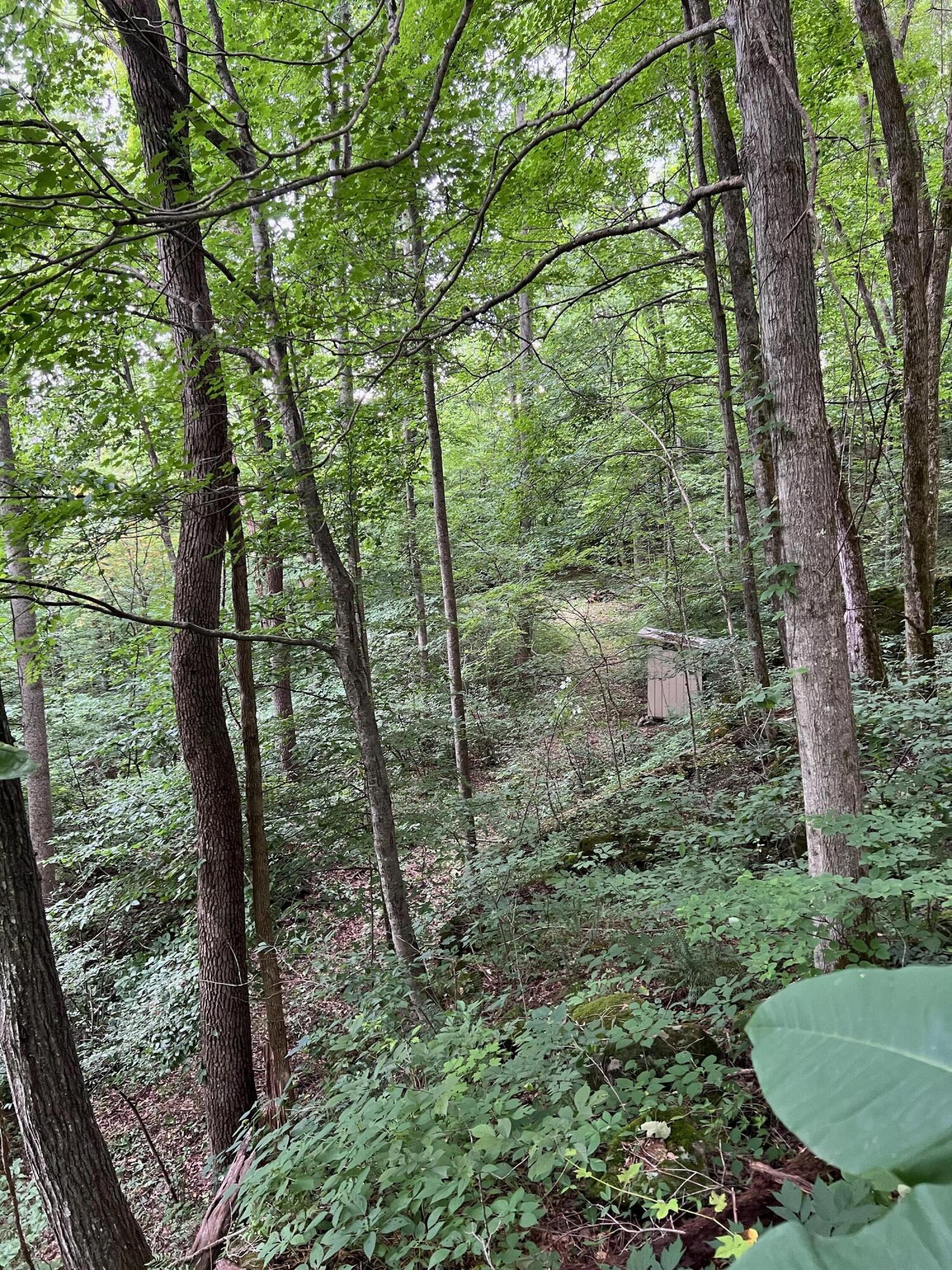 7000 North Fork Road Stanton, KY 40380 - Photo 29 of 35 IMG_1619