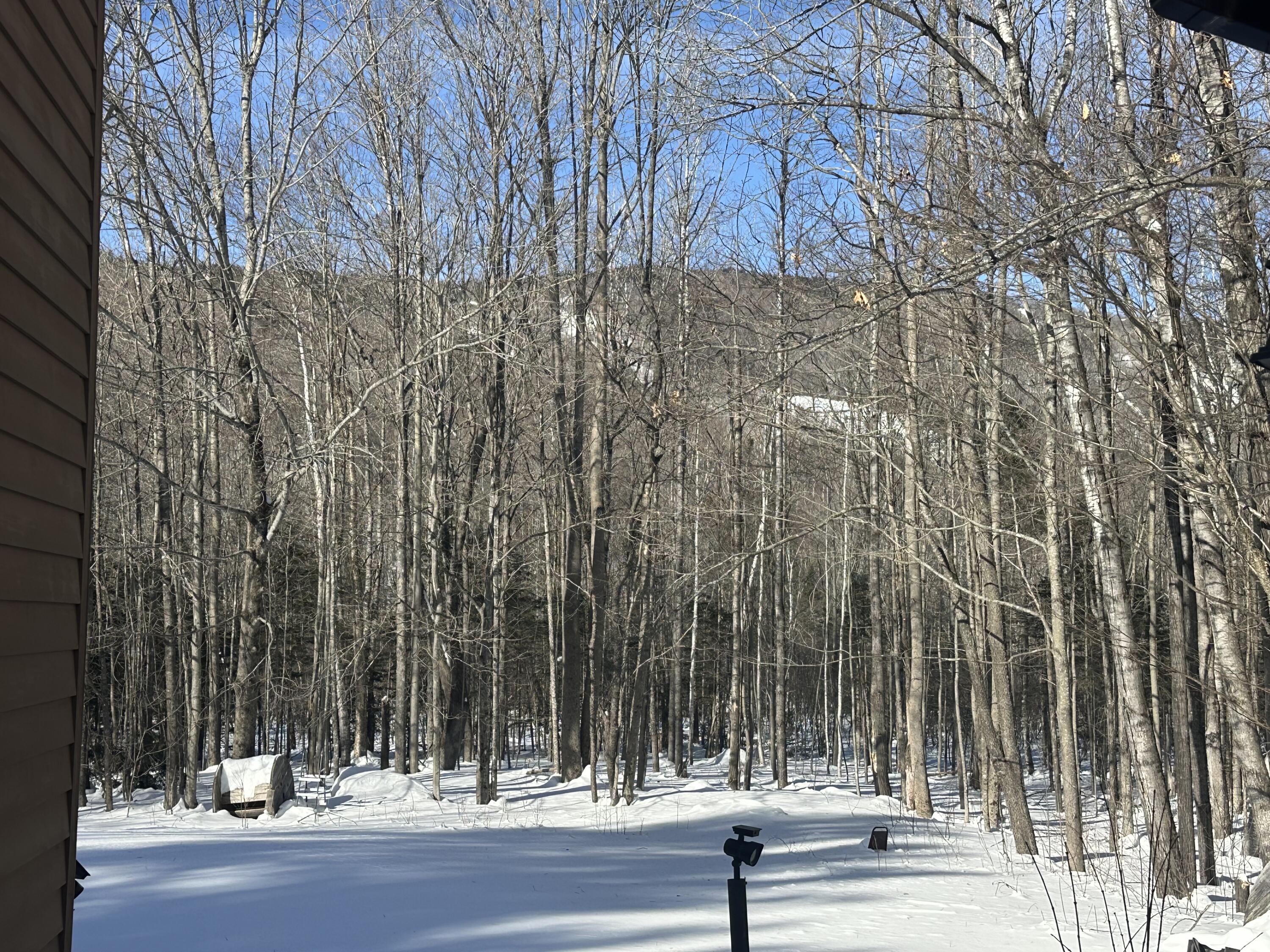 258 Isthmus Road Rumford, ME 04276 - Photo 3 of 30 IMG_7018