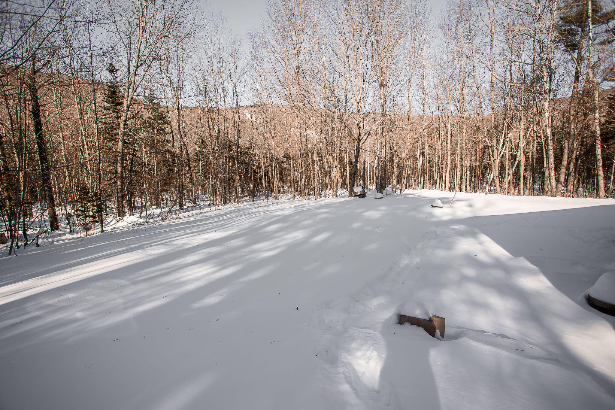 258 Isthmus Road Rumford, ME 04276 - Photo 6 of 30 AF6A6385