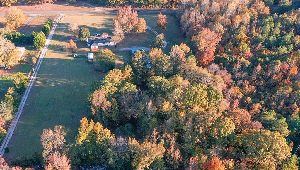 1007 State Rd S-24-412 Greenwood, SC 29649 - Photo 32 of 41 Gallery Image 32
