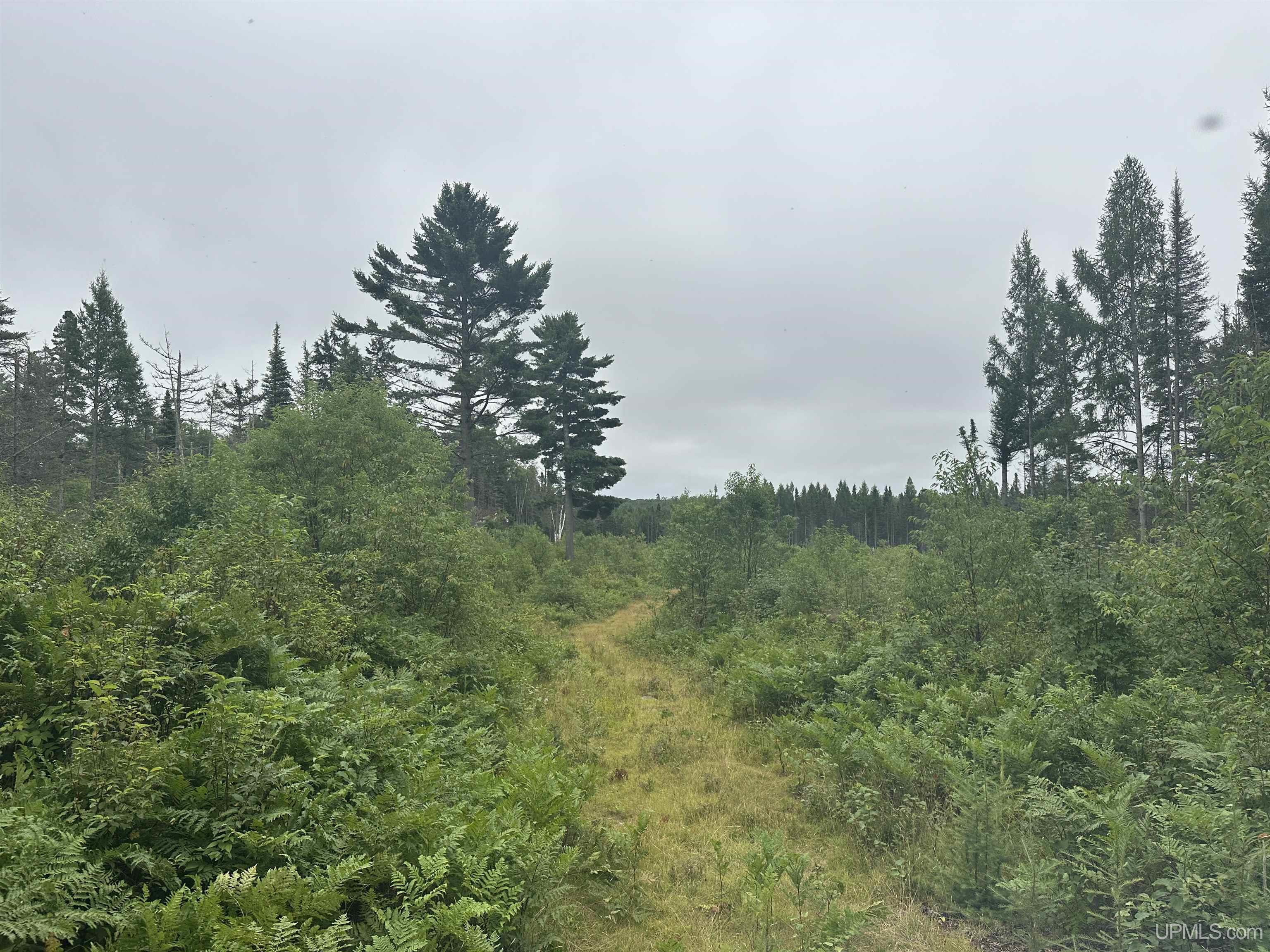 Off South Arfelin Lake Road Michigamme, MI 49861 - Photo 14 of 16