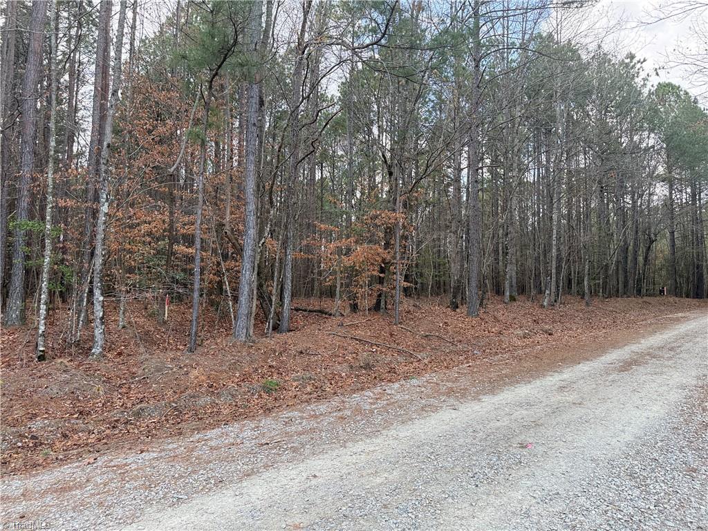 Lot 12 Woods Road Seagrove, NC 27341 - Photo 3 of 11