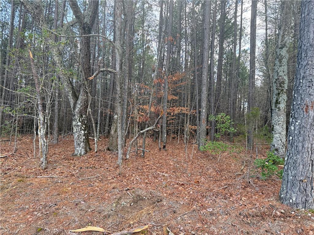 Lot 12 Woods Road Seagrove, NC 27341 - Photo 5 of 11