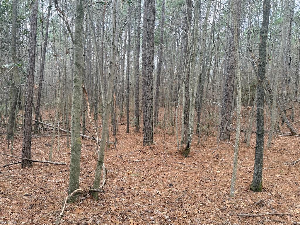 Lot 12 Woods Road Seagrove, NC 27341 - Photo 6 of 11