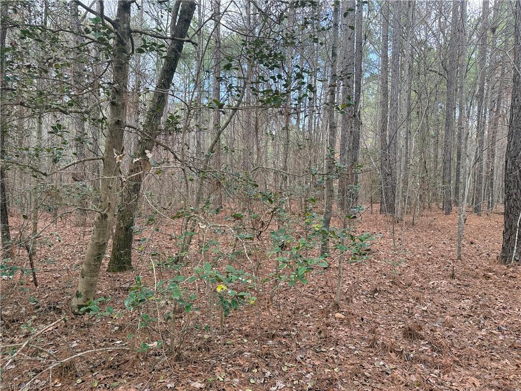 Lot 12 Woods Road Seagrove, NC 27341 - Photo 7 of 11