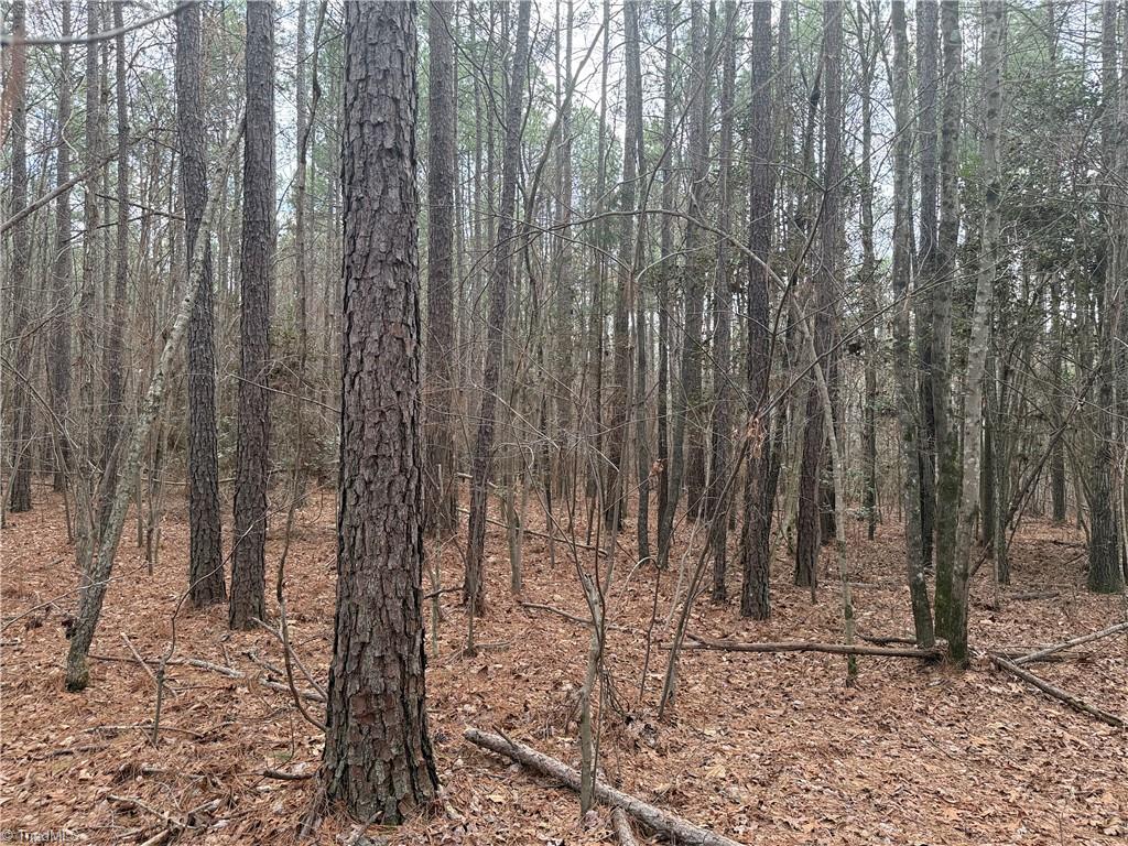 Lot 12 Woods Road Seagrove, NC 27341 - Photo 8 of 11