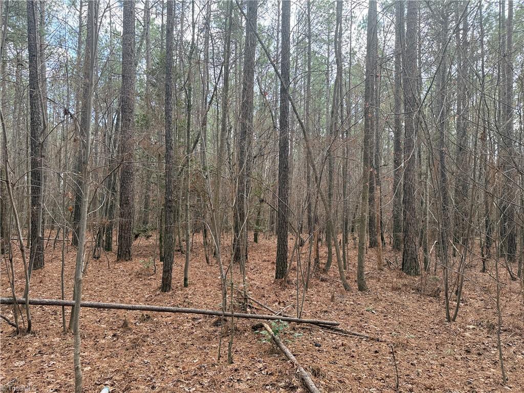 Lot 12 Woods Road Seagrove, NC 27341 - Photo 9 of 11