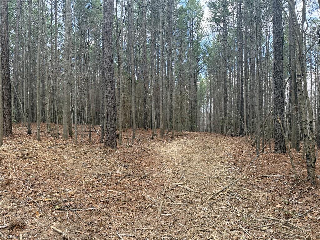Lot 12 Woods Road Seagrove, NC 27341 - Photo 10 of 11