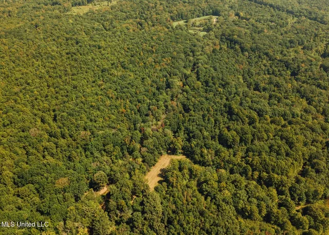 $4,780,500 | Natchez Trace Parkway, Kosciusko, MS 39090