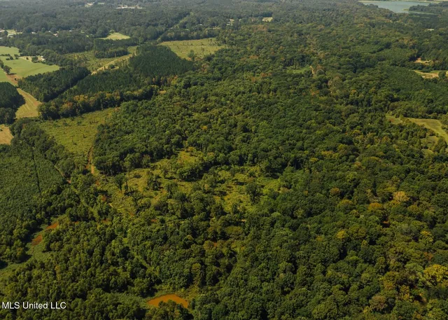 $4,780,500 | Natchez Trace Parkway, Kosciusko, MS 39090