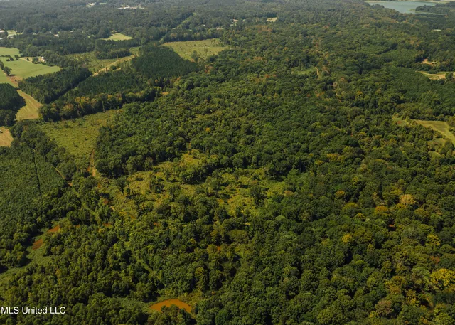 $4,780,500 | Natchez Trace Parkway, Kosciusko, MS 39090