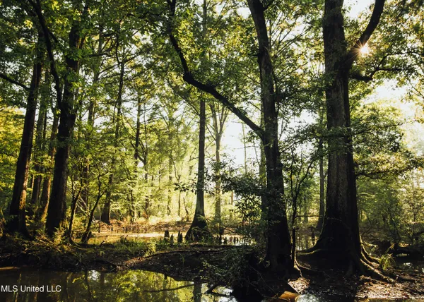 $4,780,500 | Natchez Trace Parkway, Kosciusko, MS 39090