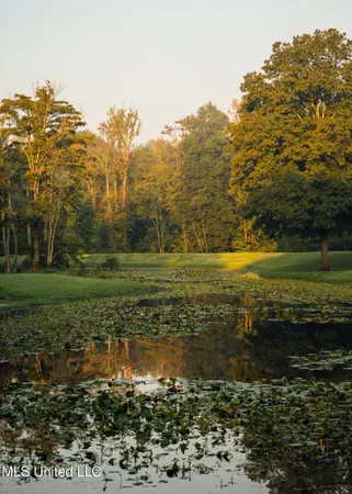 $4,780,500 | Natchez Trace Parkway, Kosciusko, MS 39090