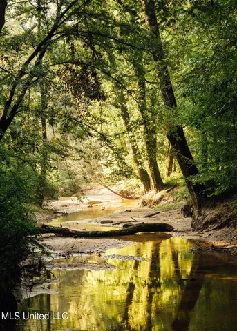 $4,780,500 | Natchez Trace Parkway, Kosciusko, MS 39090