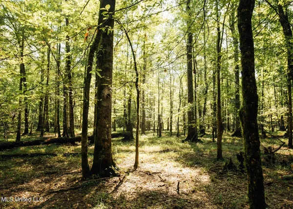 $4,780,500 | Natchez Trace Parkway, Kosciusko, MS 39090