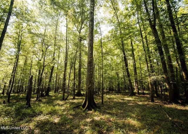 $4,780,500 | Natchez Trace Parkway, Kosciusko, MS 39090