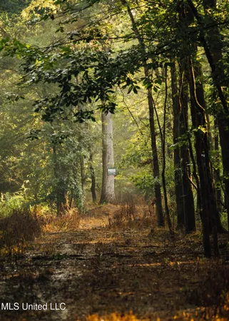 $4,780,500 | Natchez Trace Parkway, Kosciusko, MS 39090