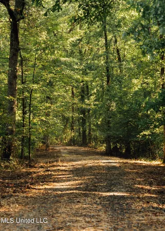 $4,780,500 | Natchez Trace Parkway, Kosciusko, MS 39090