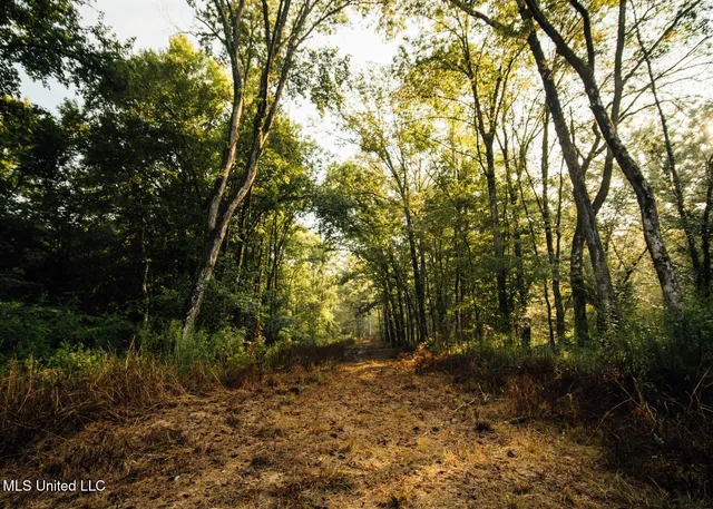 $4,780,500 | Natchez Trace Parkway, Kosciusko, MS 39090