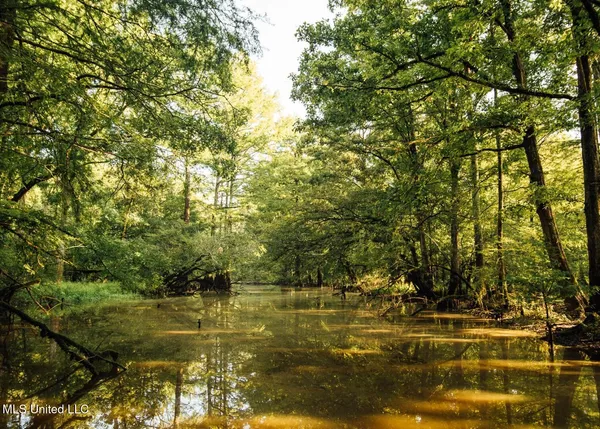 $4,780,500 | Natchez Trace Parkway, Kosciusko, MS 39090