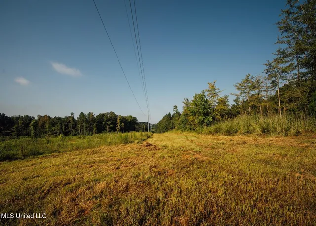 $4,780,500 | Natchez Trace Parkway, Kosciusko, MS 39090