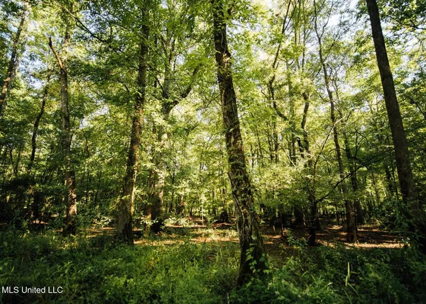 $4,780,500 | Natchez Trace Parkway, Kosciusko, MS 39090