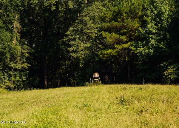 $4,780,500 | Natchez Trace Parkway, Kosciusko, MS 39090