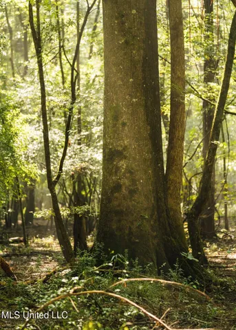 $4,780,500 | Natchez Trace Parkway, Kosciusko, MS 39090