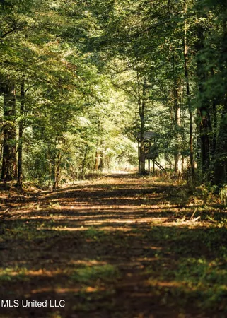 $4,780,500 | Natchez Trace Parkway, Kosciusko, MS 39090