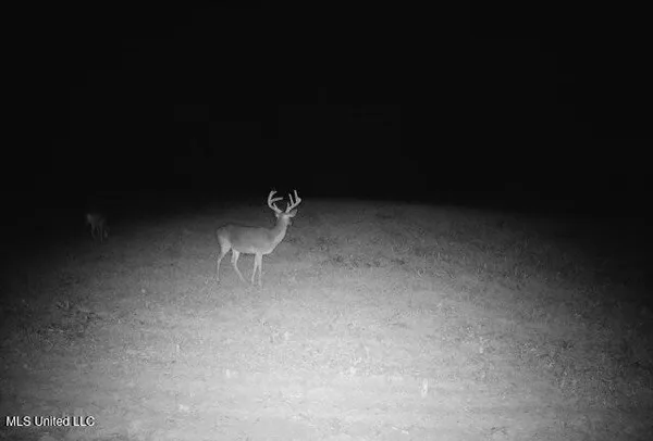 $4,780,500 | Natchez Trace Parkway, Kosciusko, MS 39090