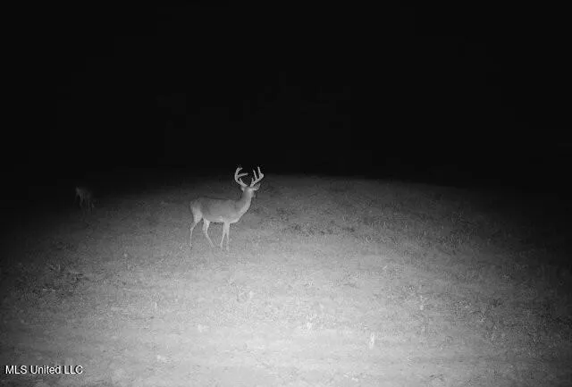 $4,780,500 | Natchez Trace Parkway, Kosciusko, MS 39090