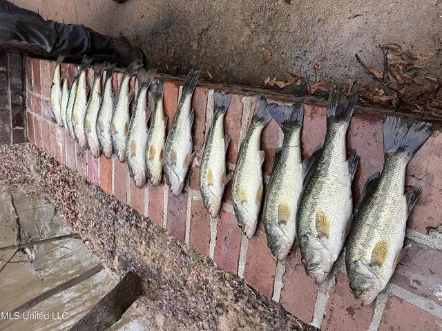 $4,780,500 | Natchez Trace Parkway, Kosciusko, MS 39090