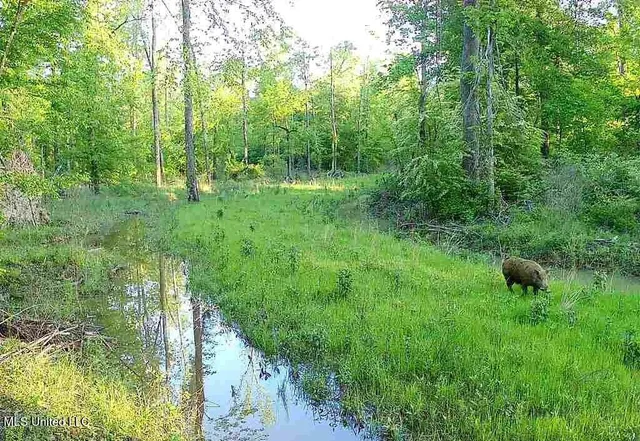 $4,780,500 | Natchez Trace Parkway, Kosciusko, MS 39090