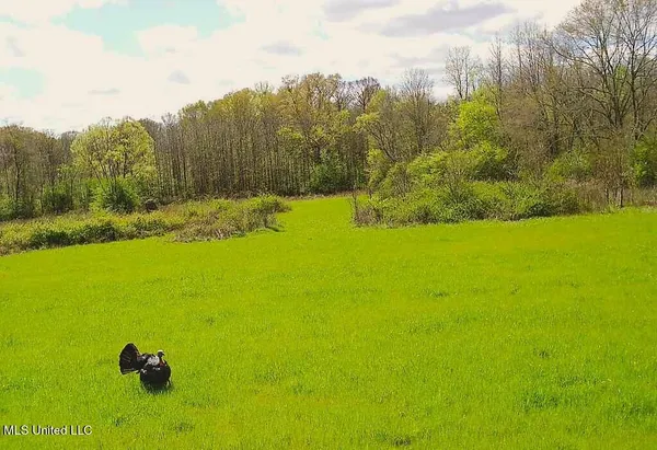 $4,780,500 | Natchez Trace Parkway, Kosciusko, MS 39090