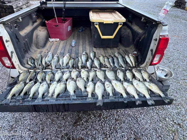 $4,780,500 | Natchez Trace Parkway, Kosciusko, MS 39090