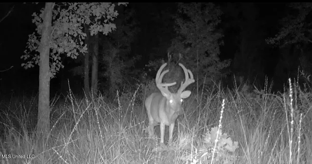 $4,780,500 | Natchez Trace Parkway, Kosciusko, MS 39090