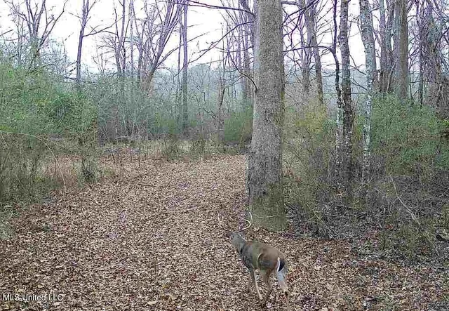 $4,780,500 | Natchez Trace Parkway, Kosciusko, MS 39090