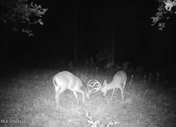 $4,780,500 | Natchez Trace Parkway, Kosciusko, MS 39090