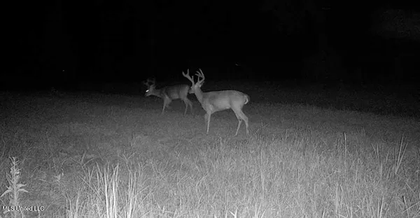 $4,780,500 | Natchez Trace Parkway, Kosciusko, MS 39090