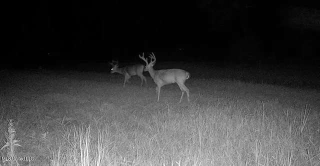 $4,780,500 | Natchez Trace Parkway, Kosciusko, MS 39090