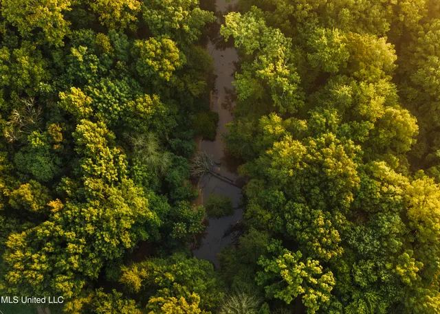 $4,780,500 | Natchez Trace Parkway, Kosciusko, MS 39090