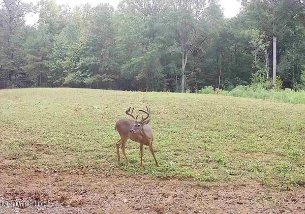 $4,780,500 | Natchez Trace Parkway, Kosciusko, MS 39090