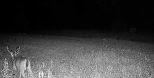 $4,780,500 | Natchez Trace Parkway, Kosciusko, MS 39090