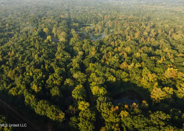 $4,780,500 | Natchez Trace Parkway, Kosciusko, MS 39090