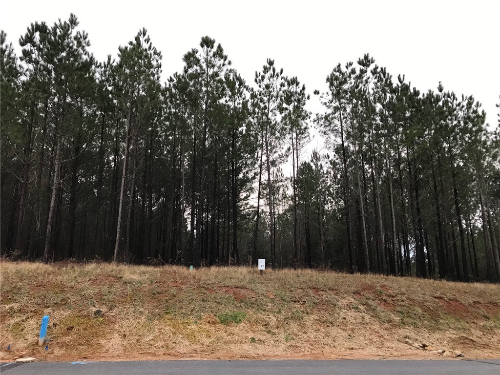 147-150 Harbor Ridge Road Seneca, SC 29672 - Photo 7 of 17 Gallery Image 7
