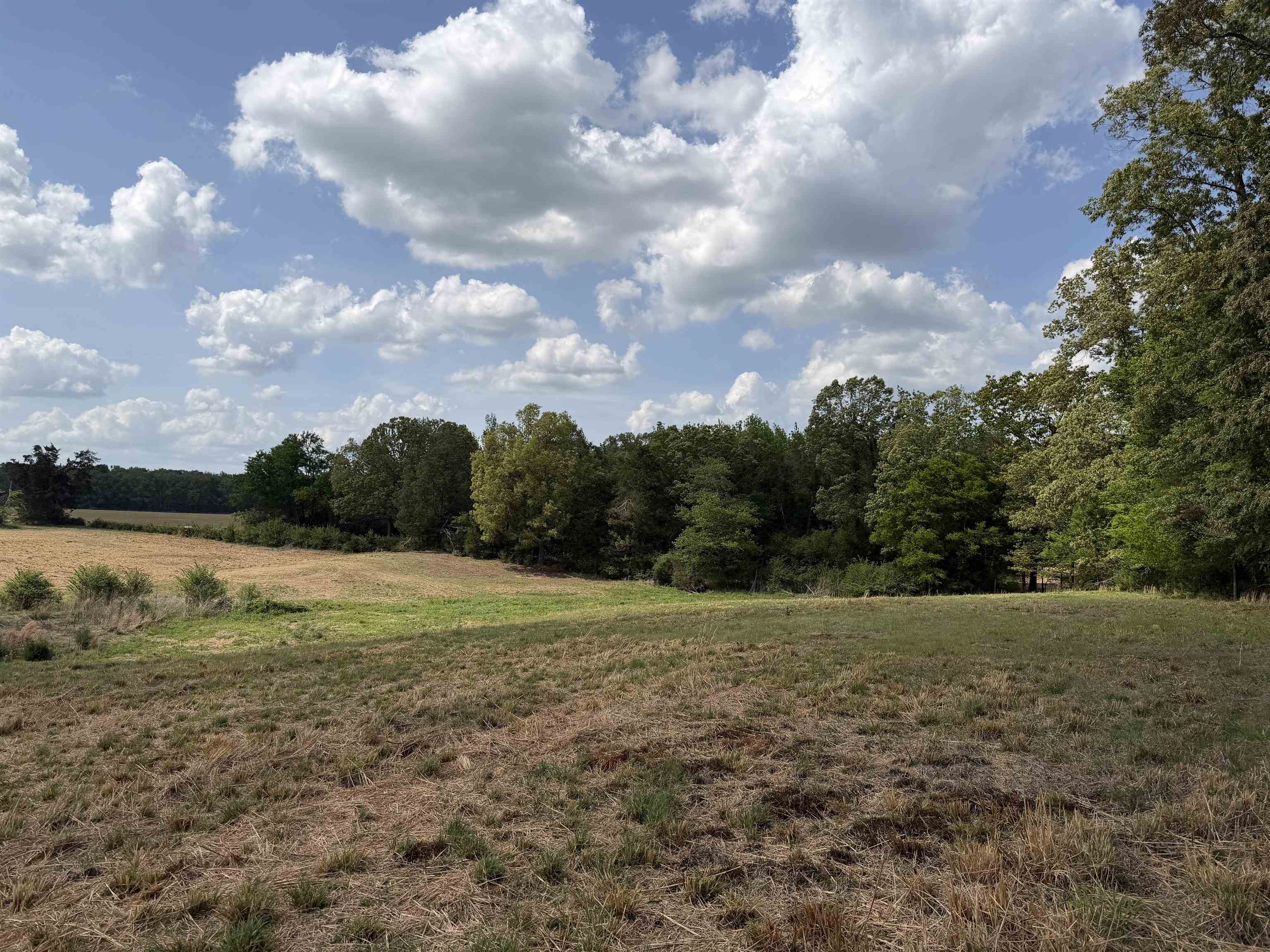 2 Saltillo Road Morris Chapel, TN 38361 - Photo 18 of 40